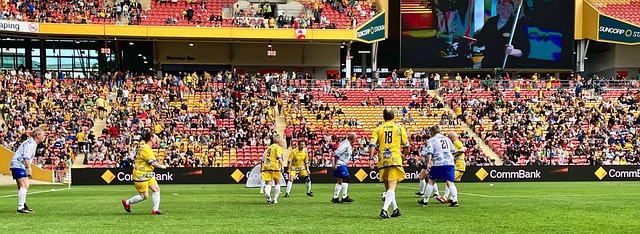 期就掌握了 期就掌握了