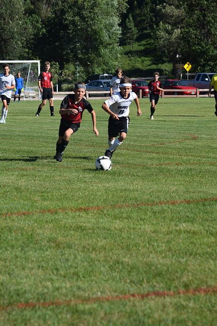 利用团队的 利用团队的