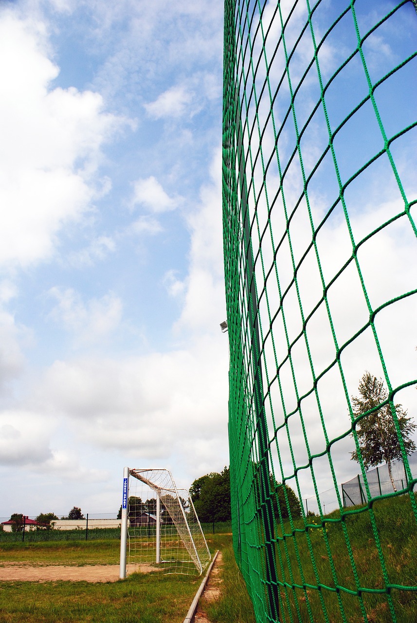 了坚实基础 了坚实基础