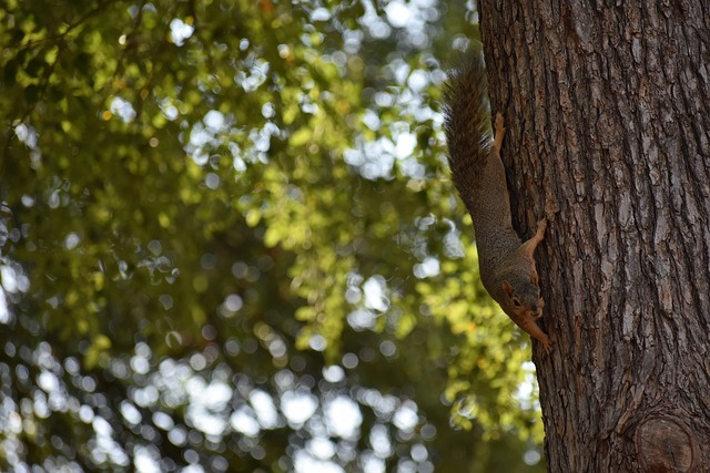 这种团队之 这种团队之