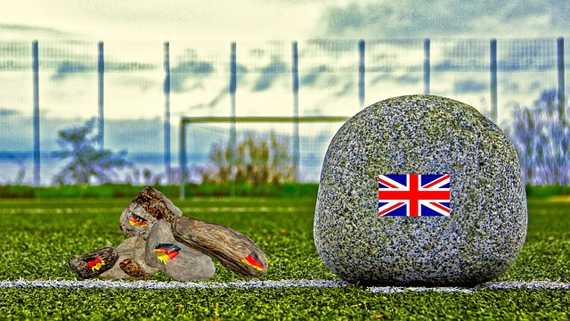 通过共同努 通过共同努