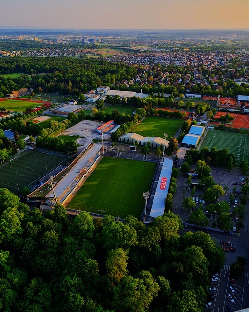 一个篮球术 一个篮球术